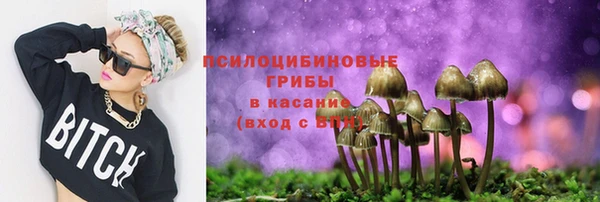 бошки Медвежьегорск