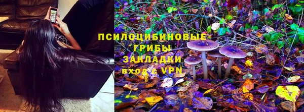 эйфоретик Медногорск