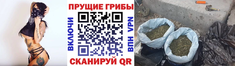 Галлюциногенные грибы мухоморы  Заволжск 